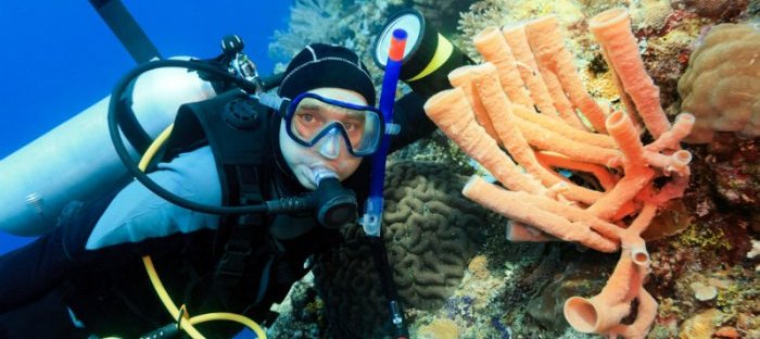 7 Destinasi Wisata Diving Favorit di Indonesia